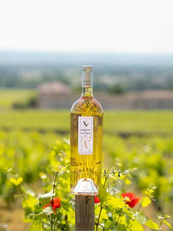 rose-vignoble-bouteille-nature